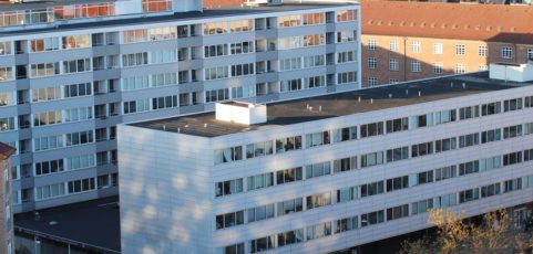 Hvad siger reglerne om fremleje?  Se her…